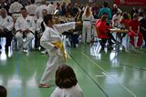 German_Open _Giebelstadt_2014_11.jpg